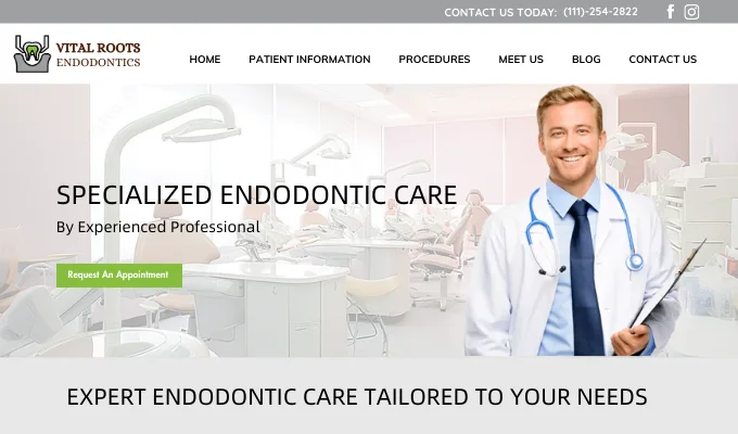 best Endodontist web developer in Tampa